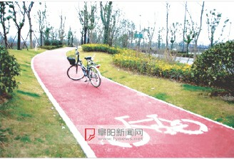 阜阳：城南新区有段自行车专用道