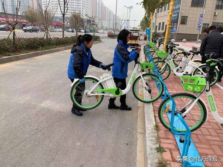 乱停乱放、惨遭破坏……