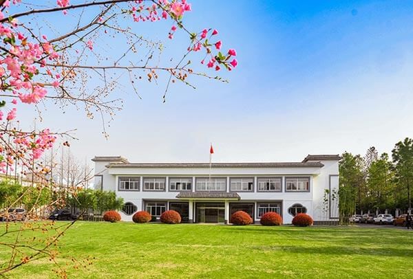 心系行业发展 积极献言献策——中国国际商会向永安行发来感谢信