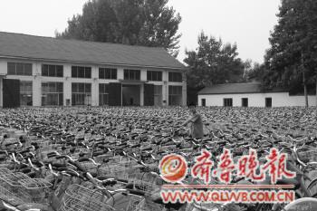 青州公共自行车越转越顺畅1